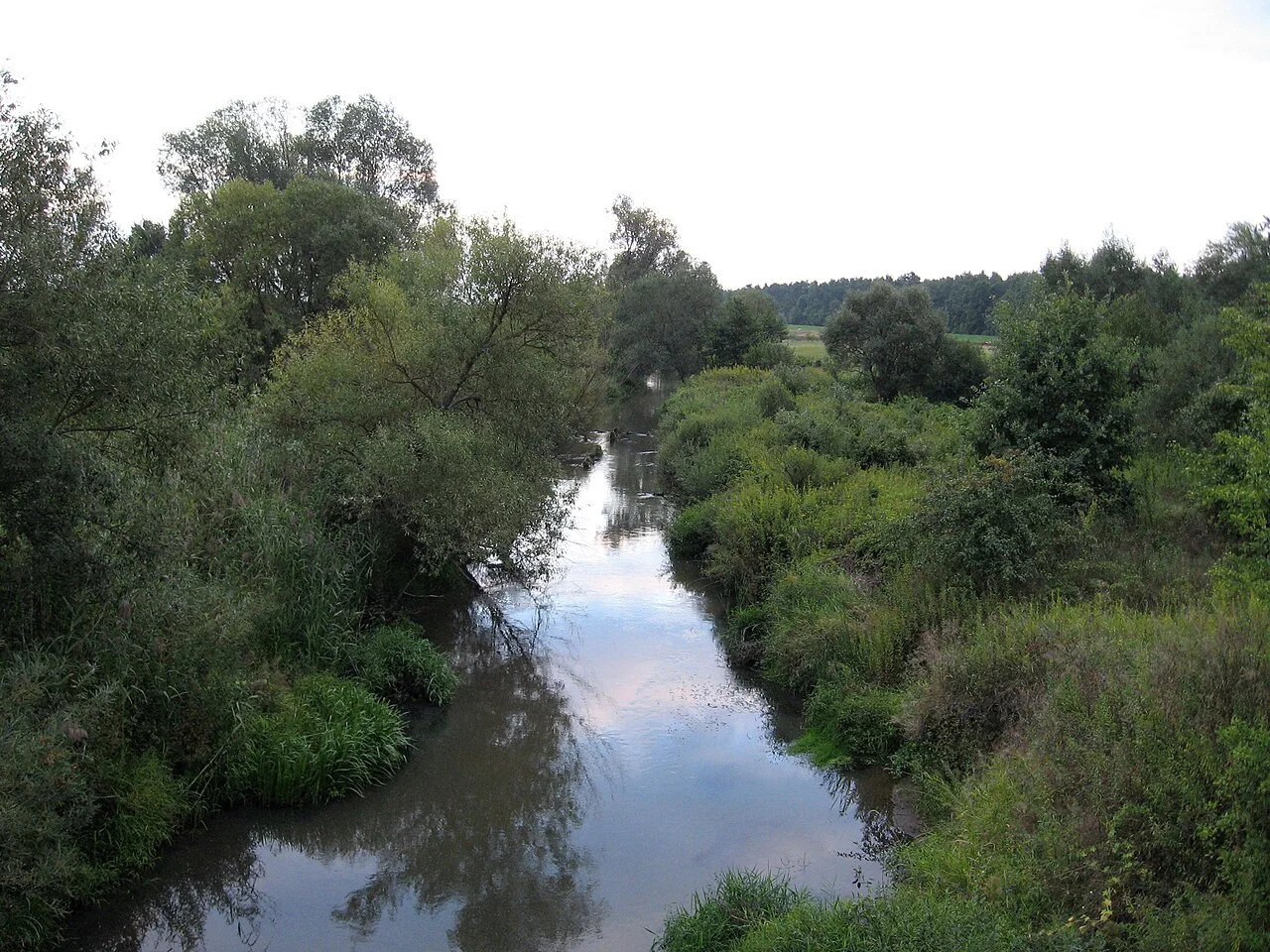 Photo of Kępie Żaleszańskie