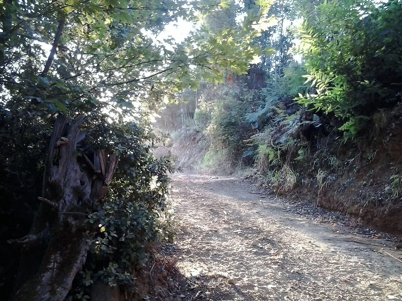 Photo of Kerasochóri