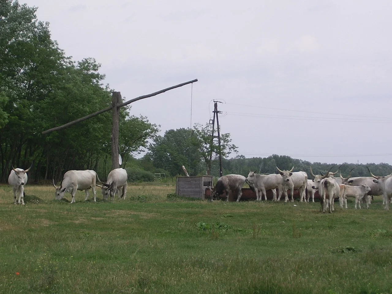 Photo of Kerekegyháza