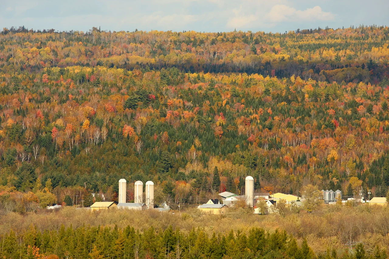 Photo of Keswick Ridge