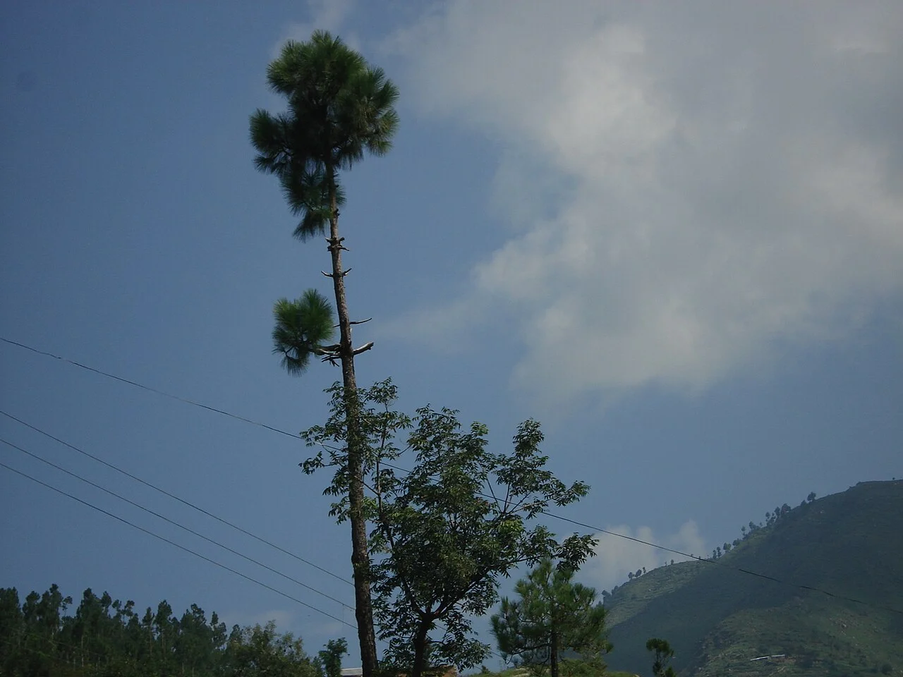 Photo of Khanpur Mahar