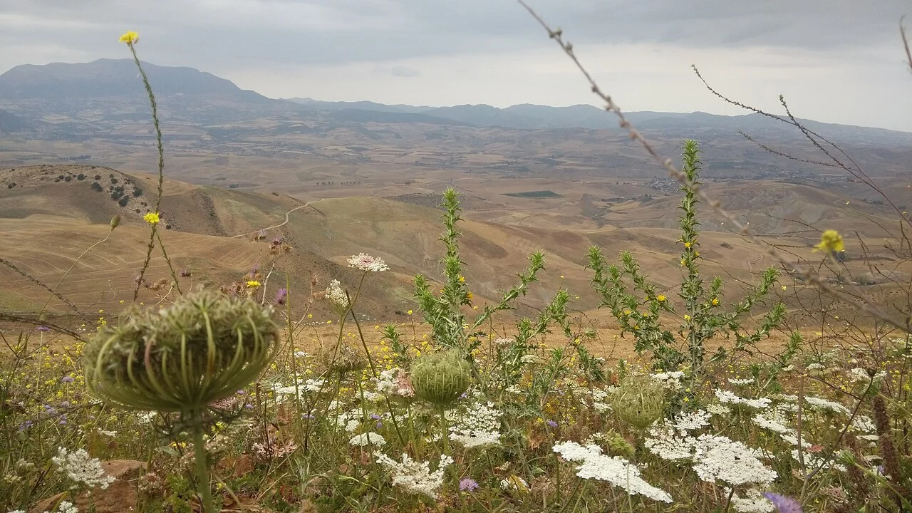 Photo of Khemis Miliana