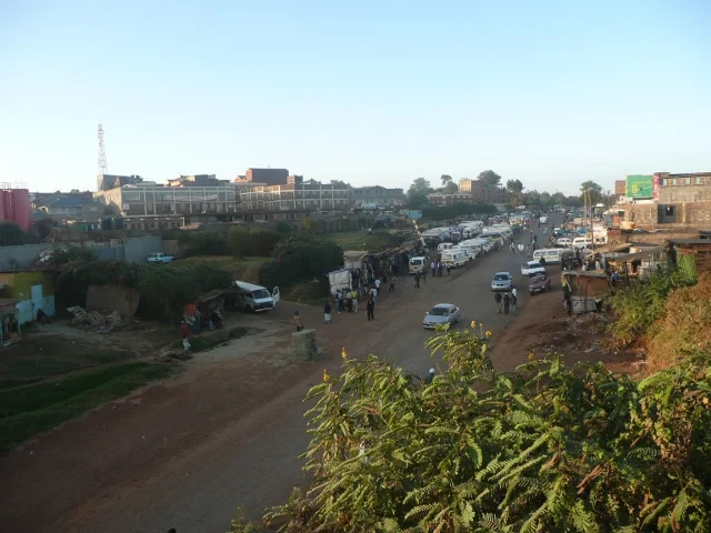 Photo of Kikuyu