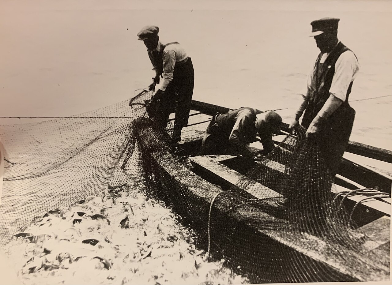 An old image of fishermen using pound nets in Killarney Ontario, circa the 1920s.