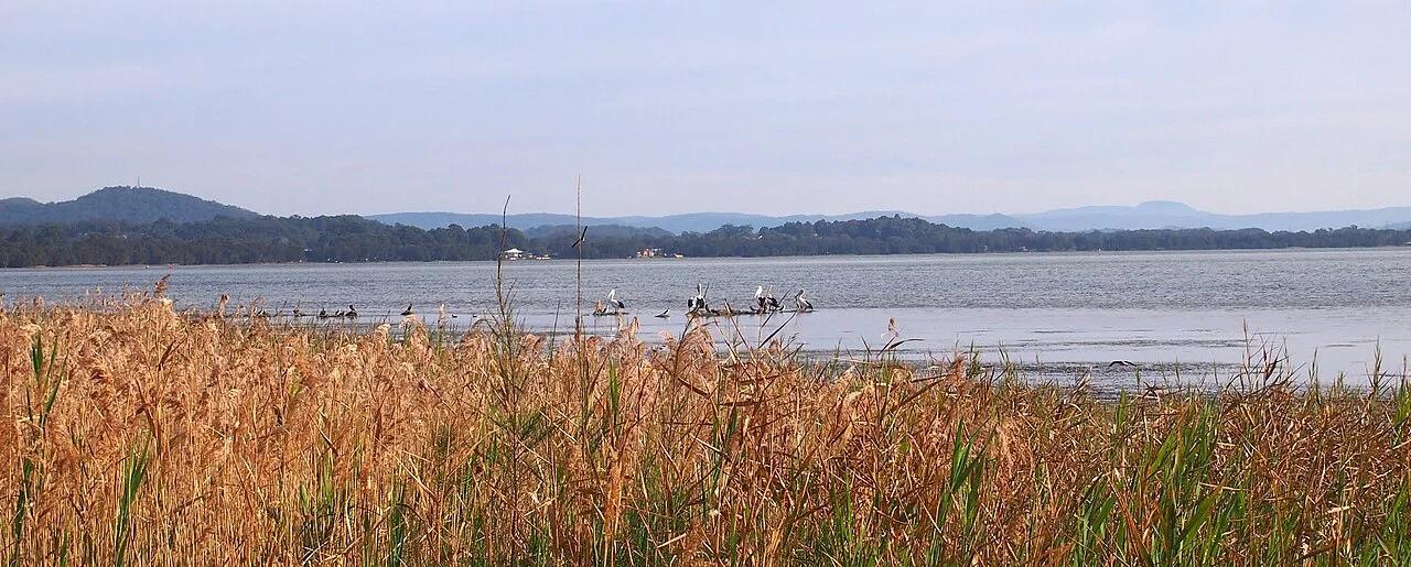 Photo of Killarney Vale