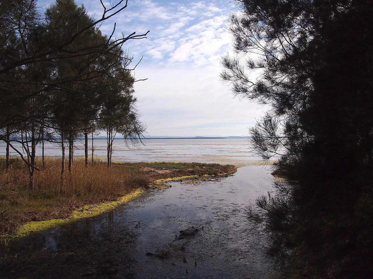 Photo of Killarney Vale