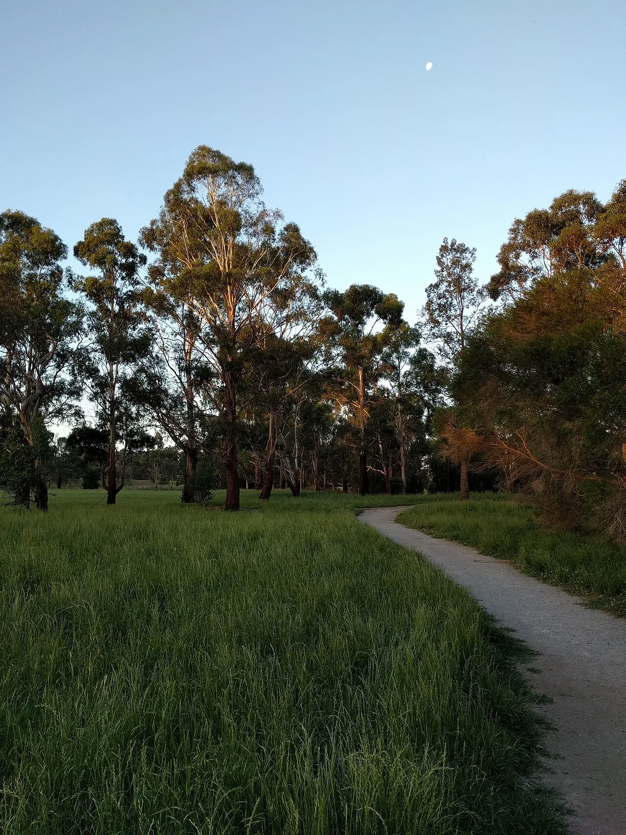 Photo of Kilsyth South