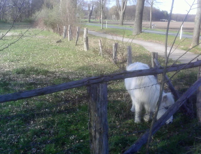 Photo of Kirchlinteln