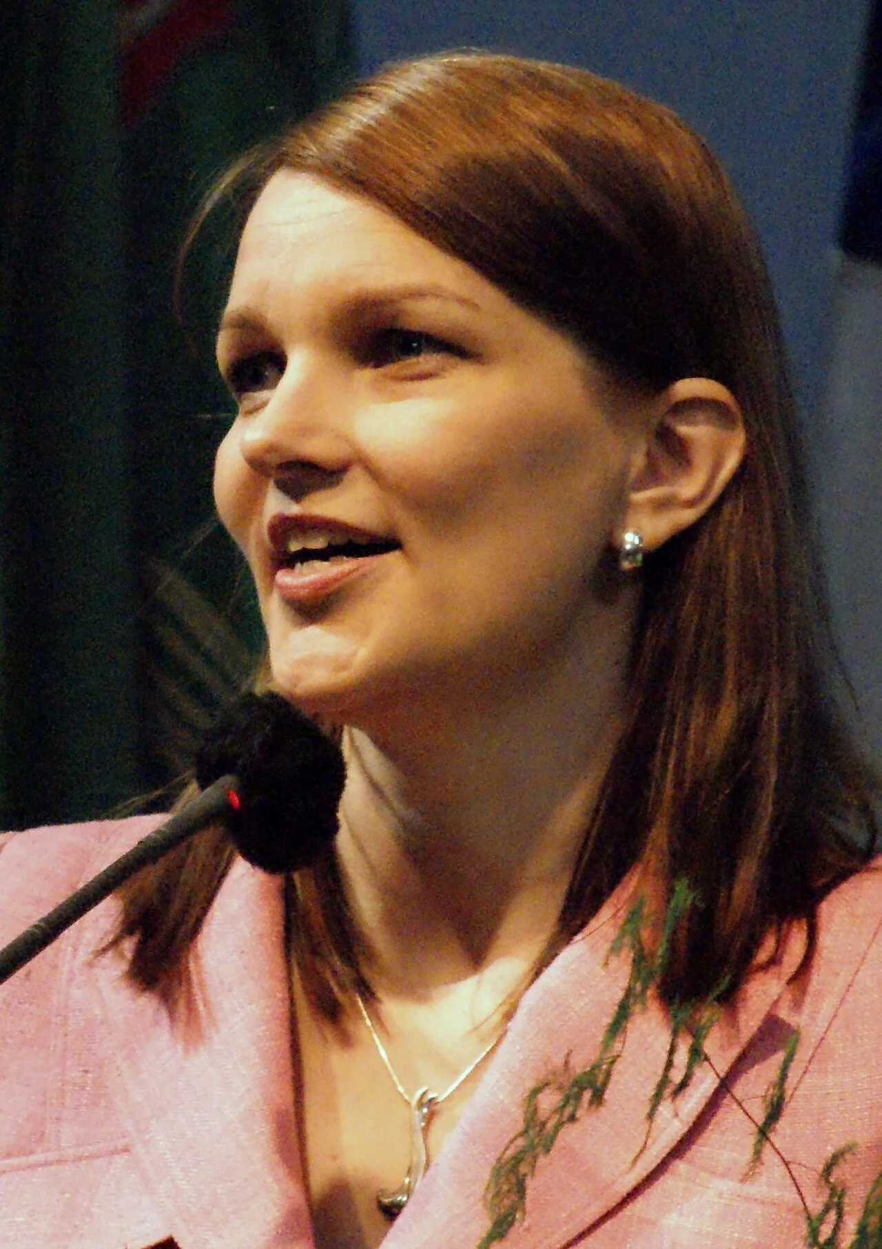 Photo of Kiviniemi