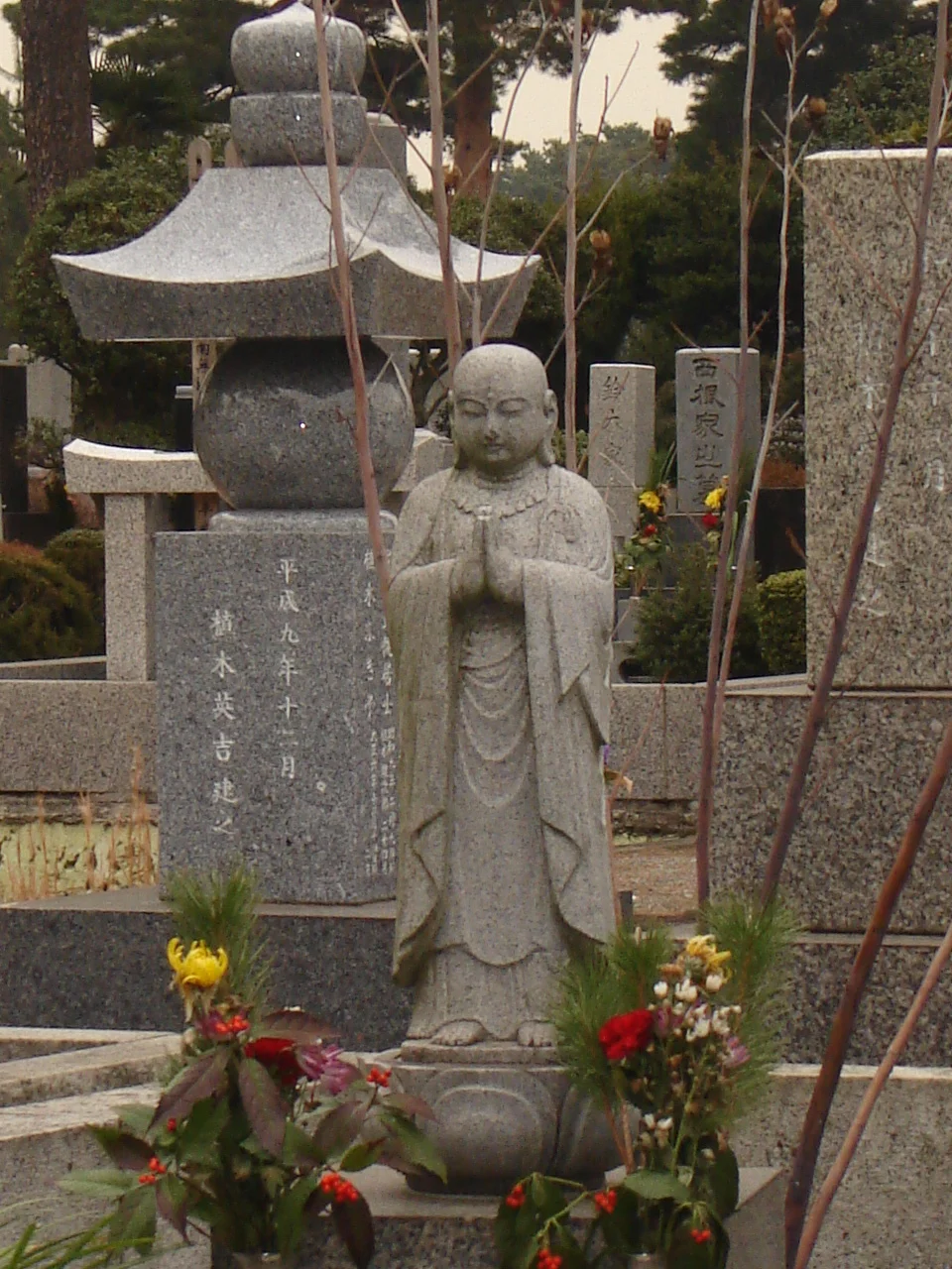 Photo of Kodaira