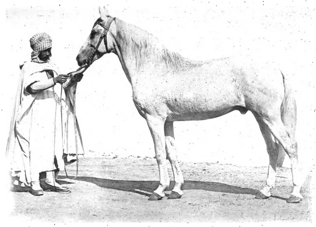 Photo of Köpingebro