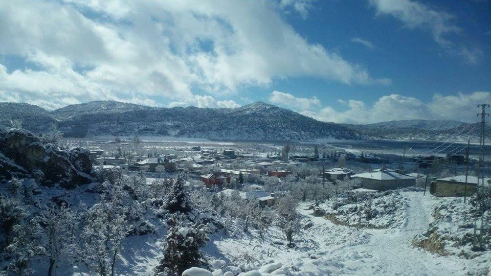 Photo of Köseçobanlı