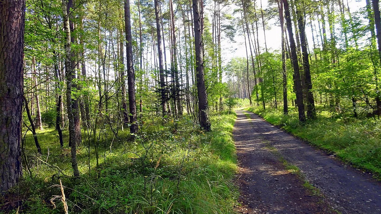 Photo of Kolonowskie