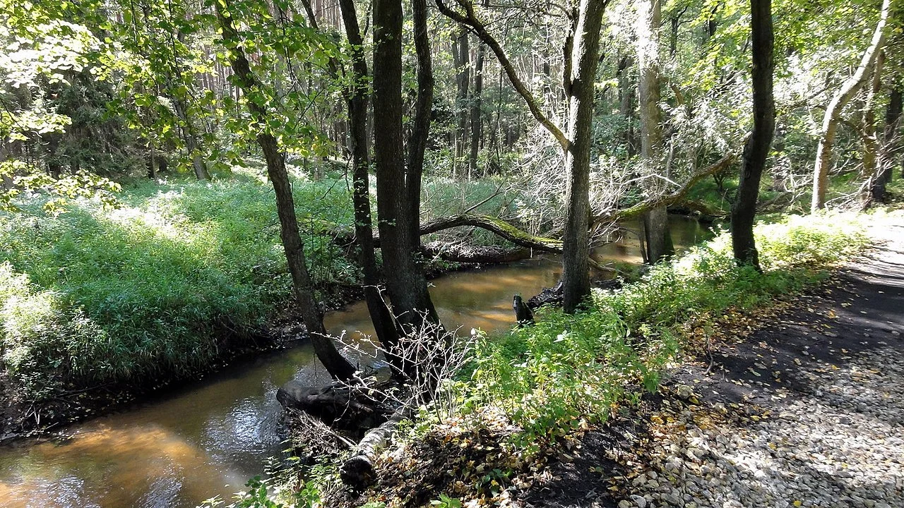 Photo of Kolonowskie