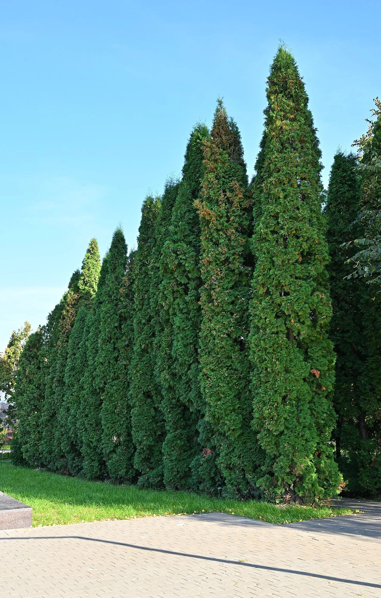 Photo of Komsomol’skiy