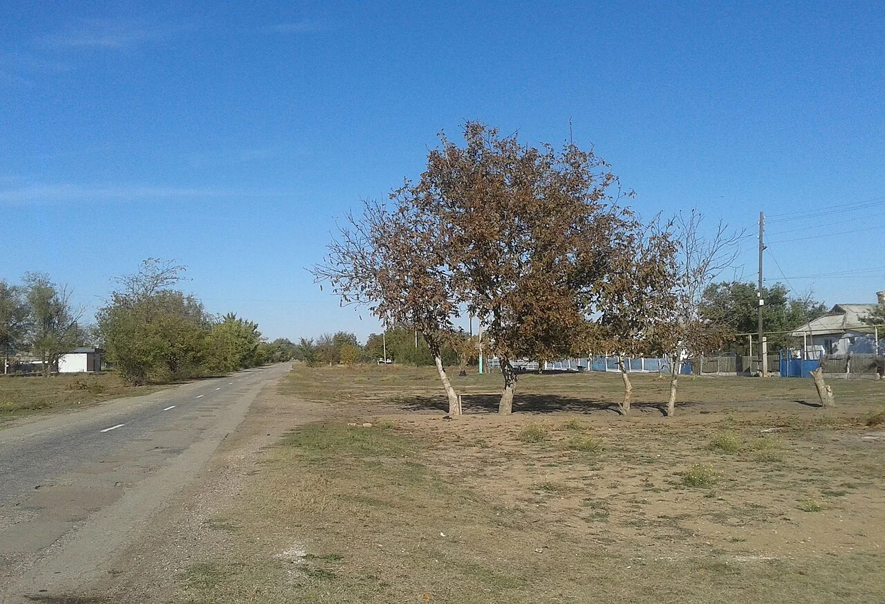 Photo of Kondratyevo