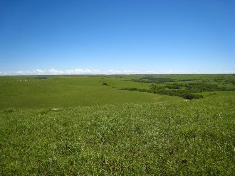 Photo of Konza