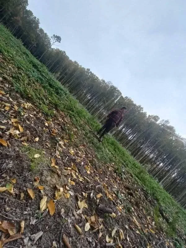 Photo of Kopychyntsi