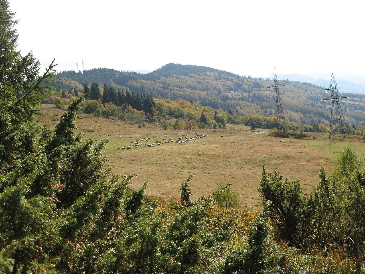 Photo of Kosivska Poliana