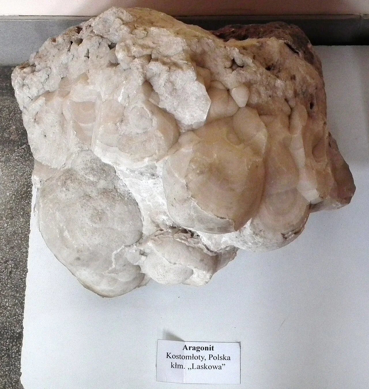 Photo of Kostomłoty Drugie