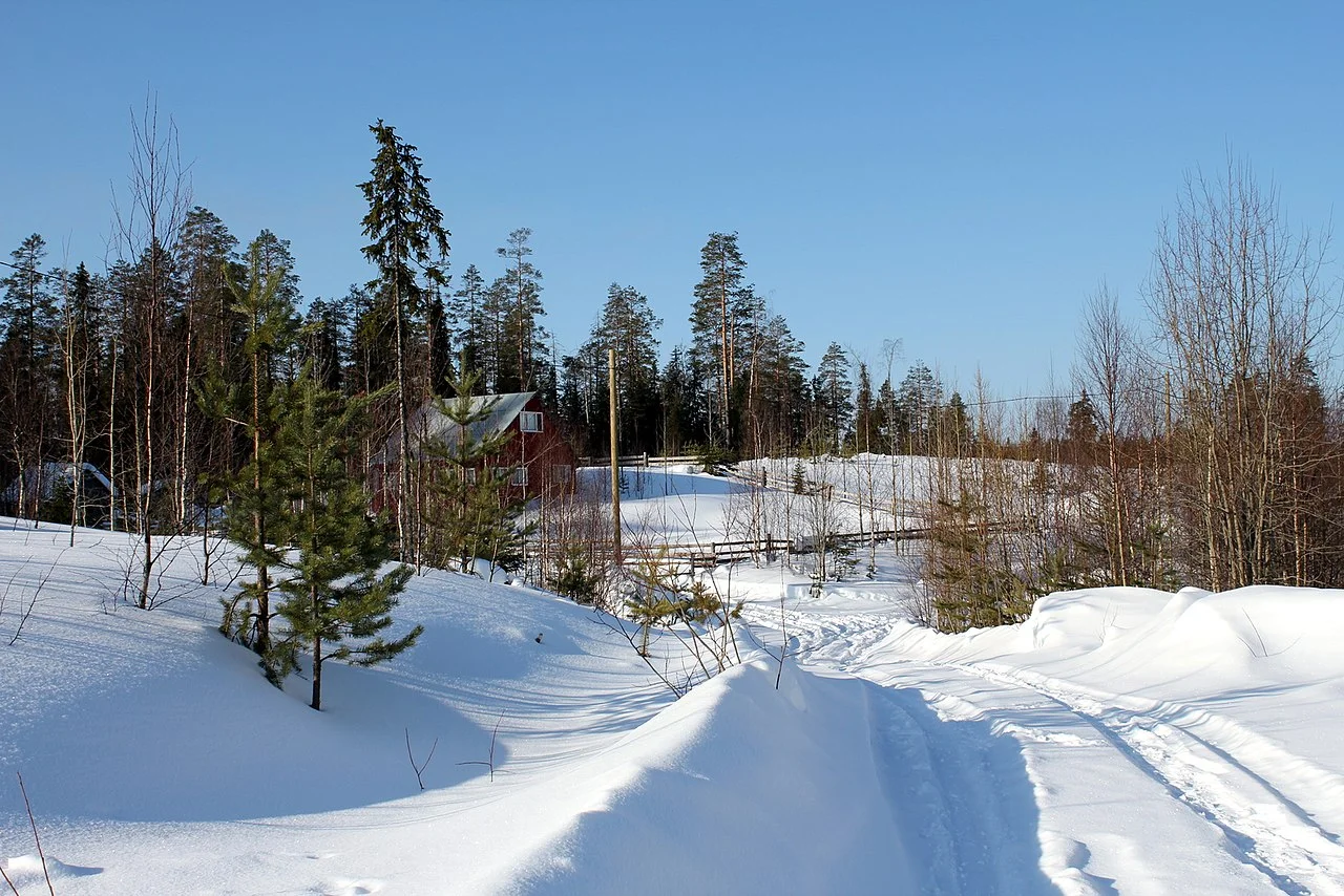 Photo of Kostomuksha