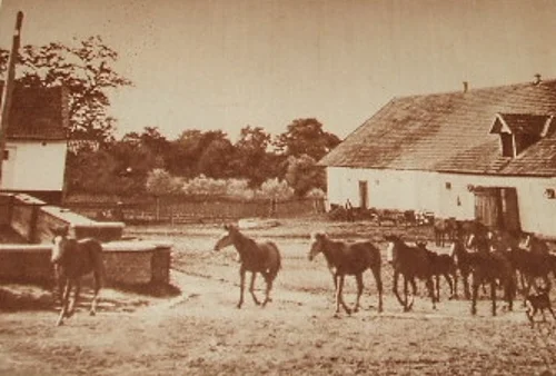 Photo of Koszyce Wielkie