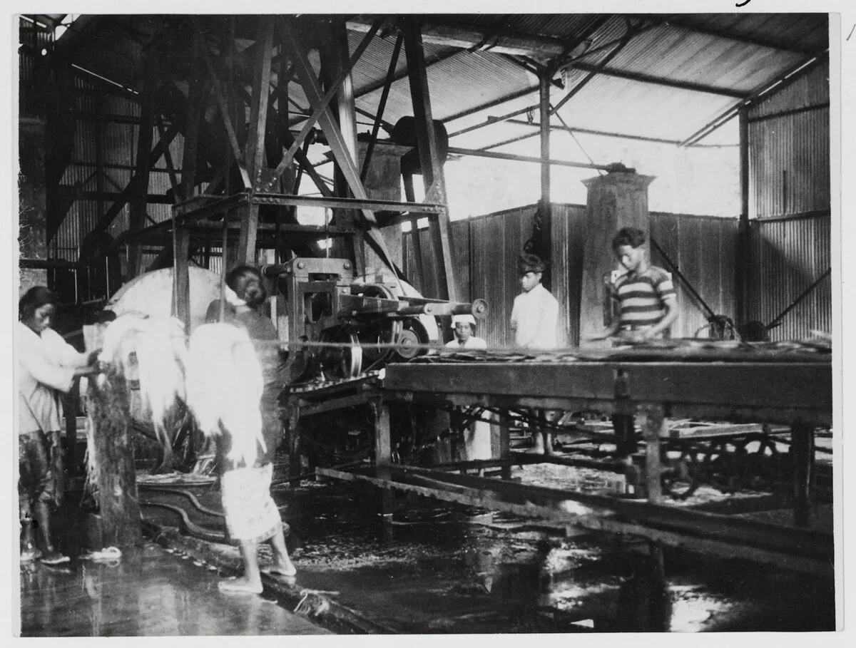 Photo of Kota Tengah