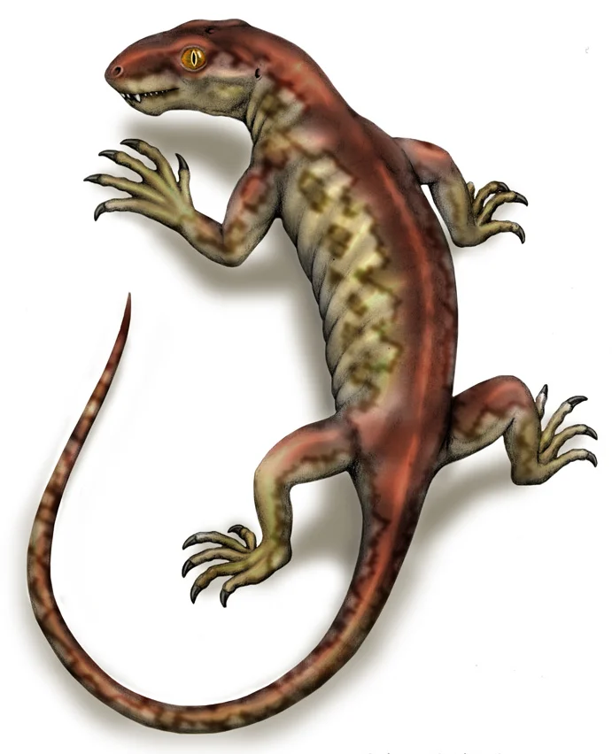 Photo of Kotel’nich