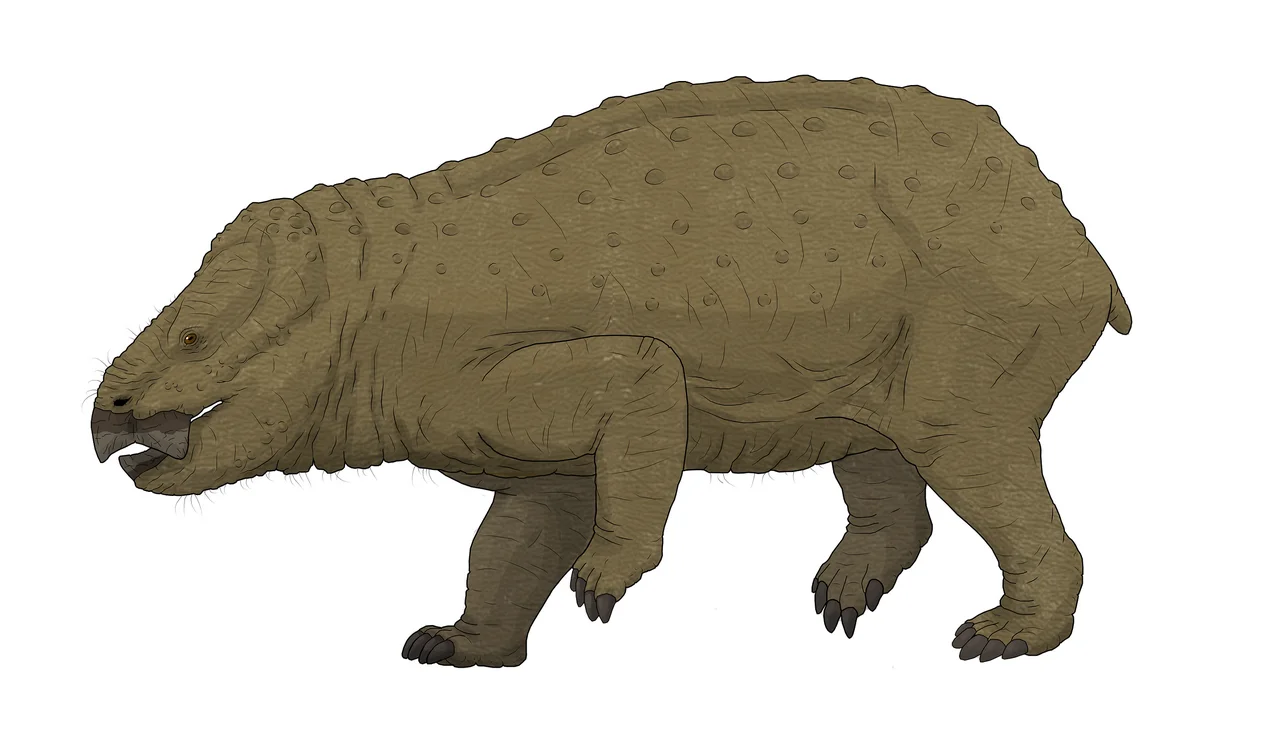 Photo of Kotel’nich