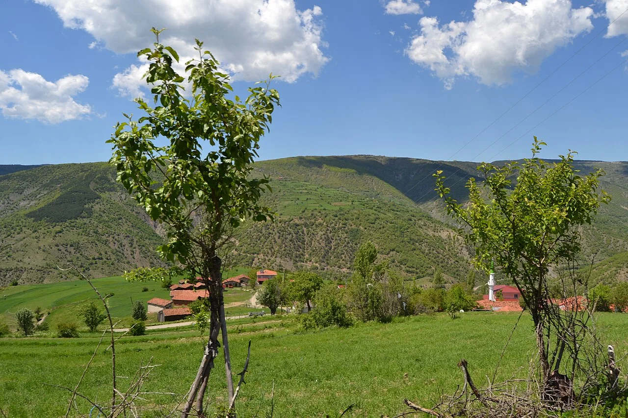 Photo of Kovanlı