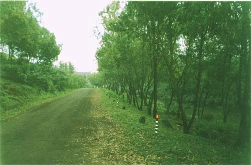 Photo of Koynanagar