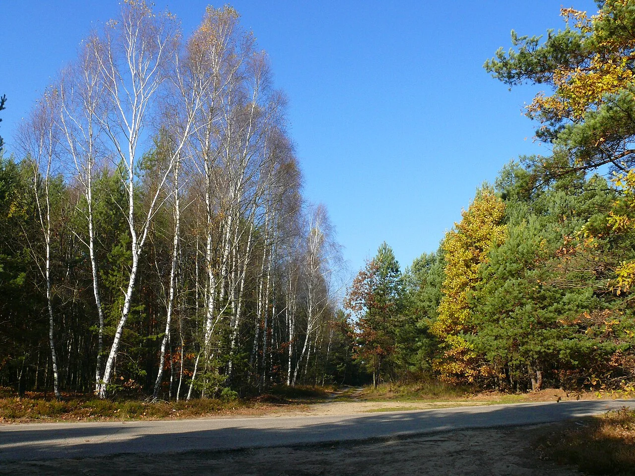 Photo of Koziegłowy