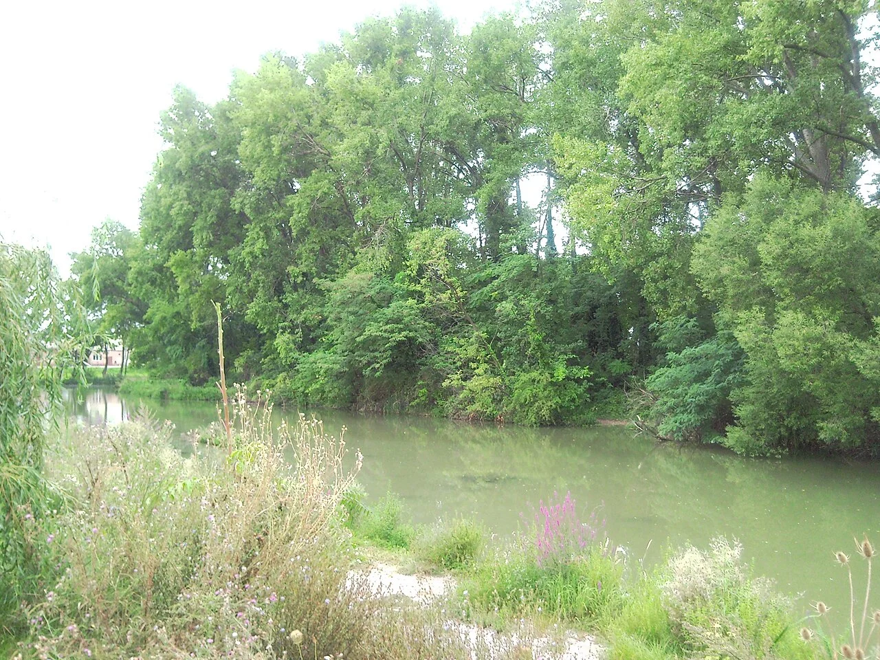 Photo of Kráľová pri Senci