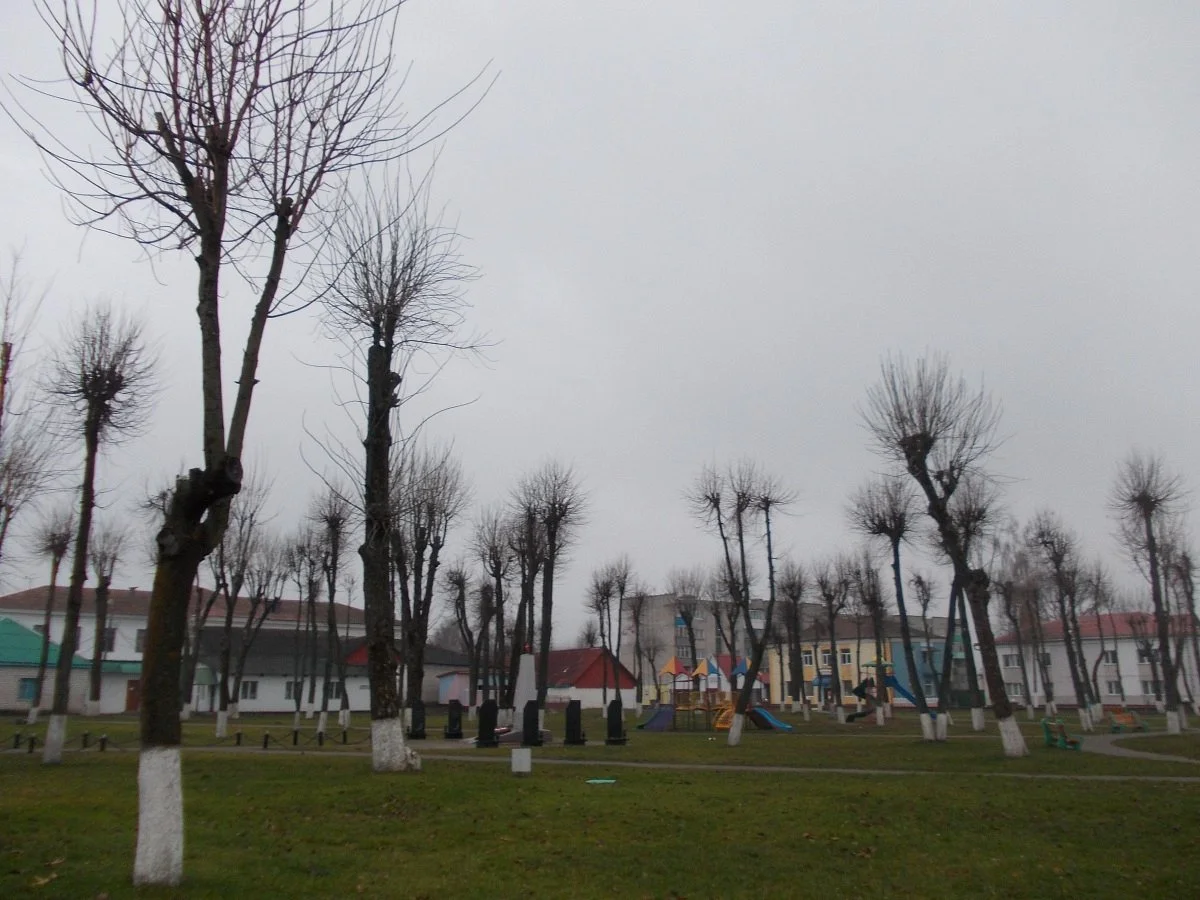 Photo of Krasnapollye