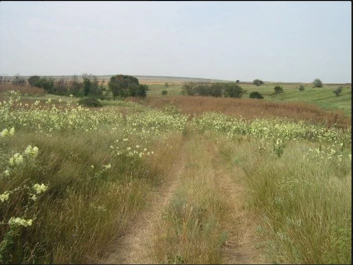 Photo of Krasnaya Polyana