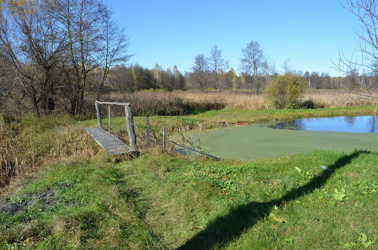 Photo of Krasnogorka