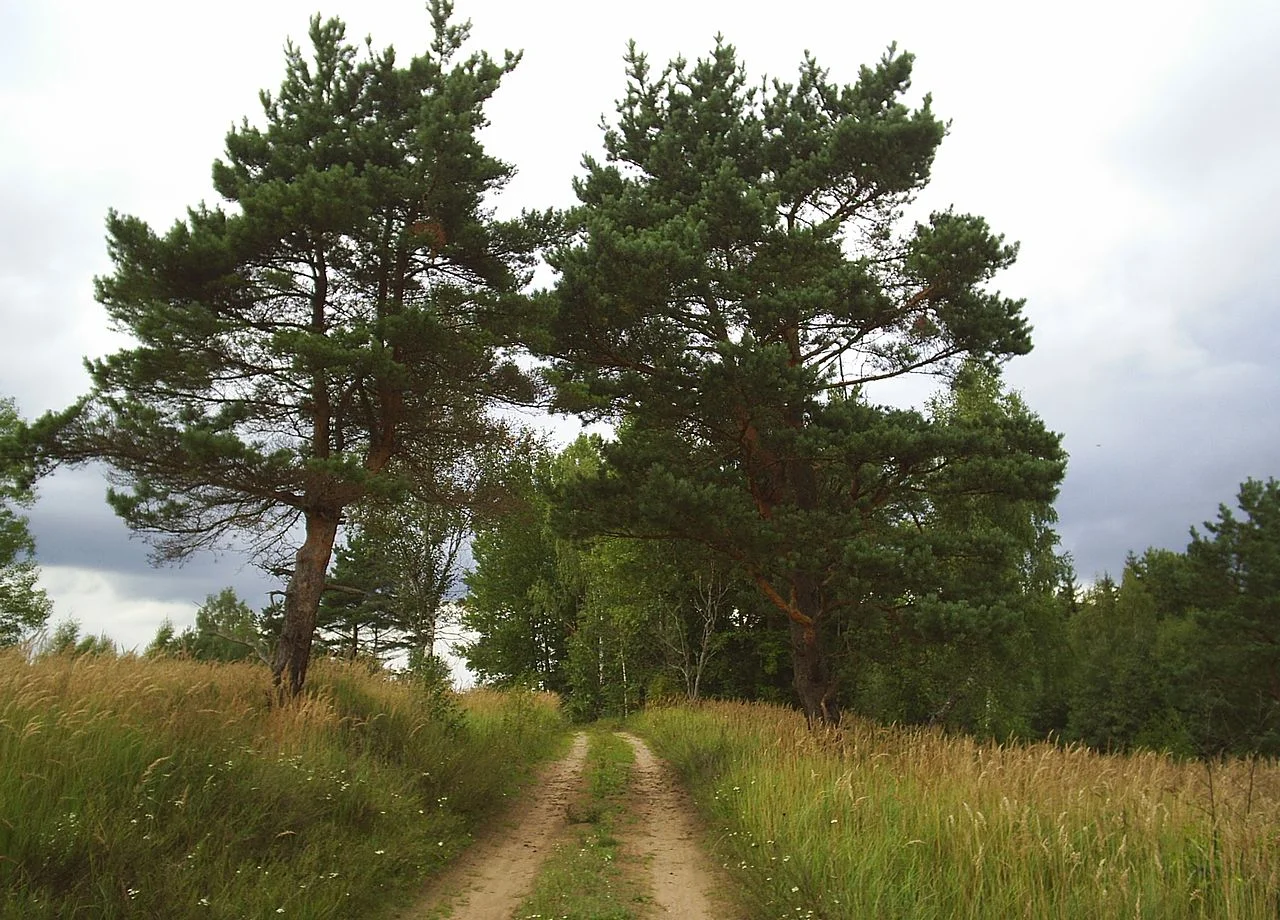 Photo of Krasnogorodsk