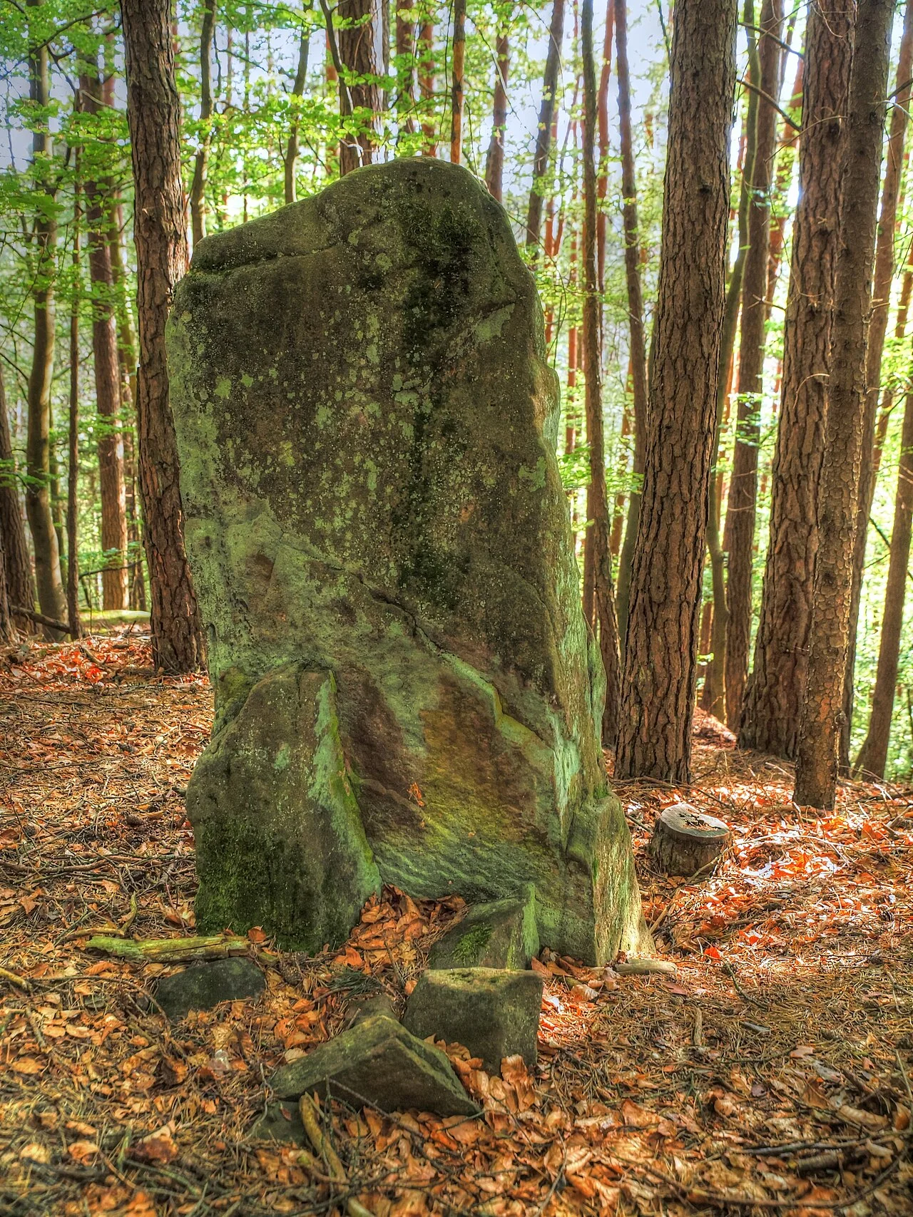 Photo of Krickenbach