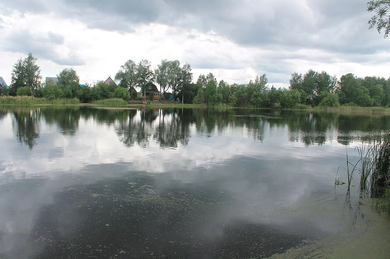 Photo of Krivodanovka