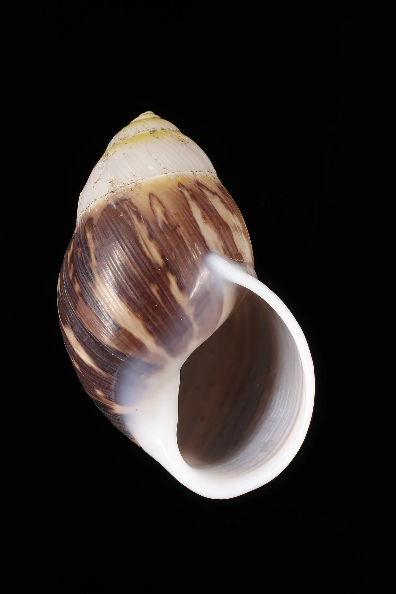 Photo of Krông Năng