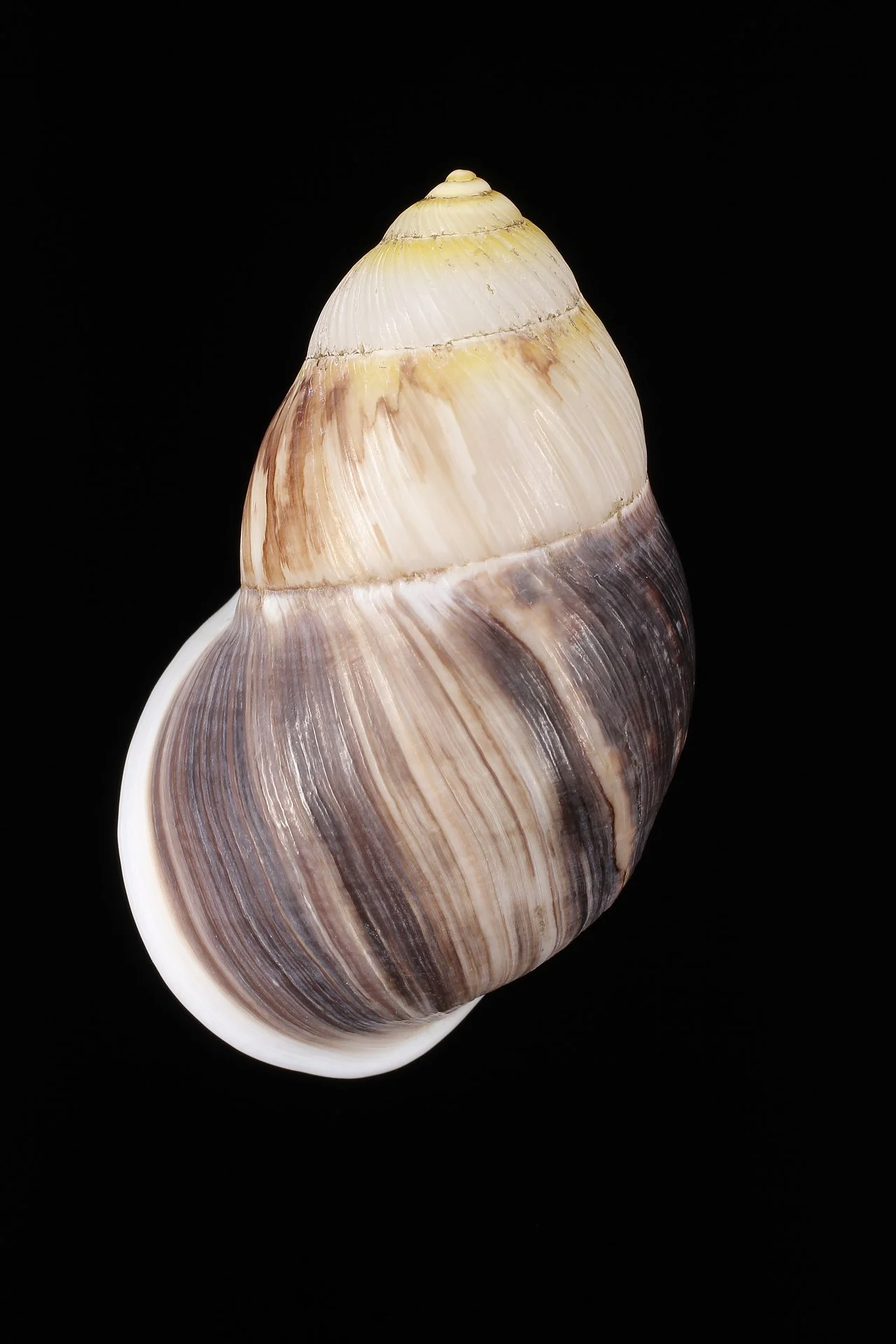 Photo of Krông Năng