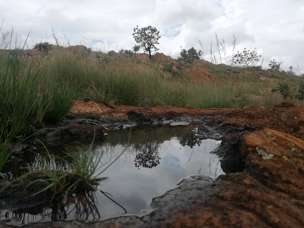 Photo of Krugersdorp