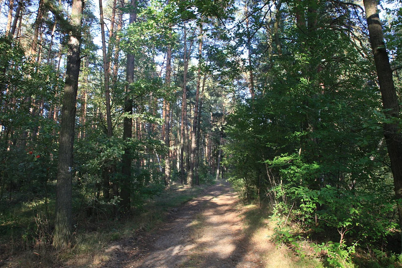 Photo of Krupski Młyn