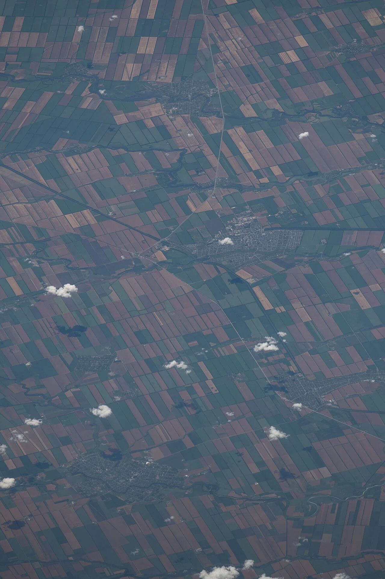 Photo of Krylovskaya