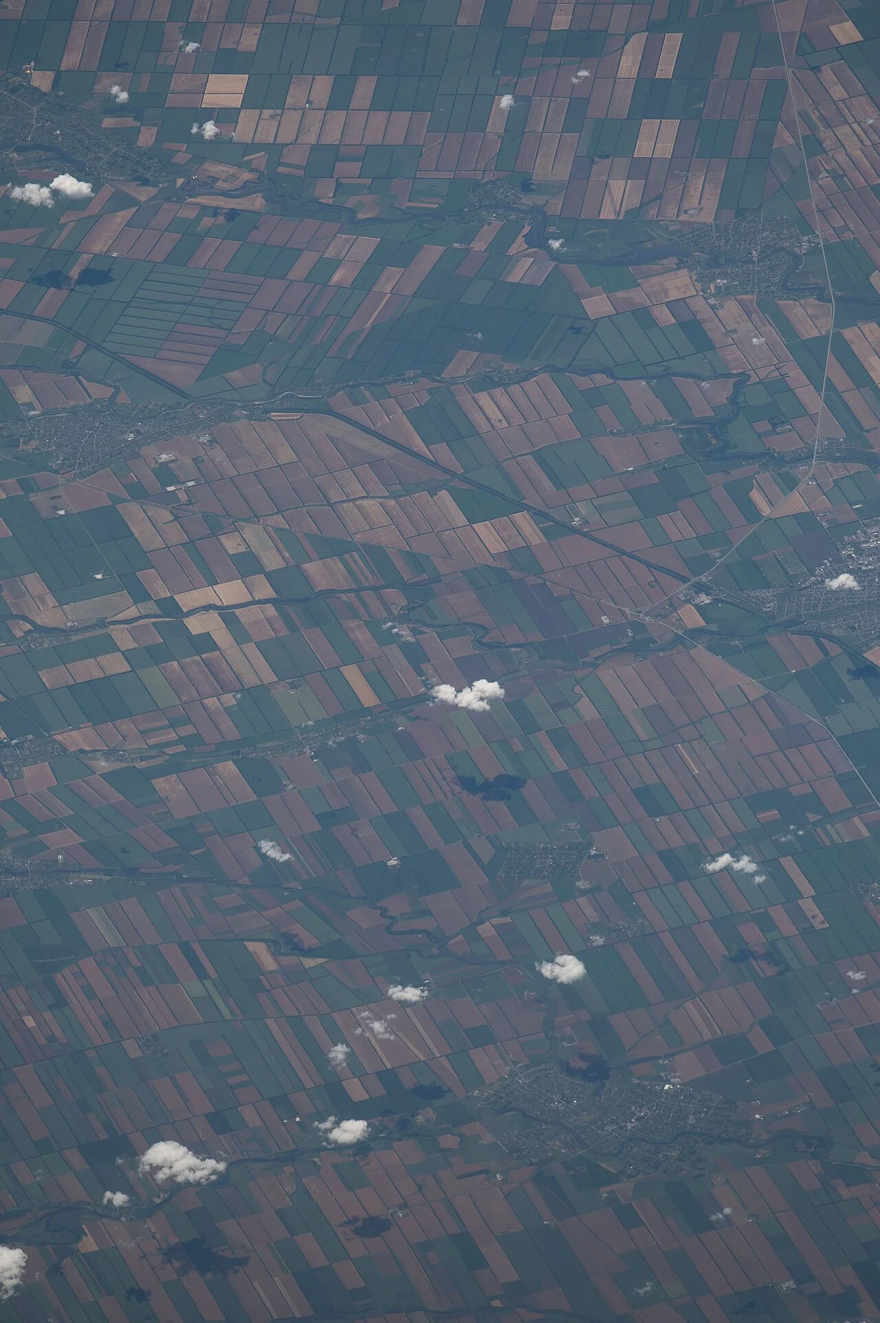 Photo of Krylovskaya