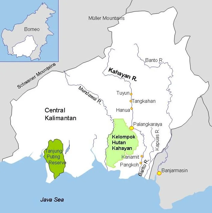 Photo of Kualakapuas