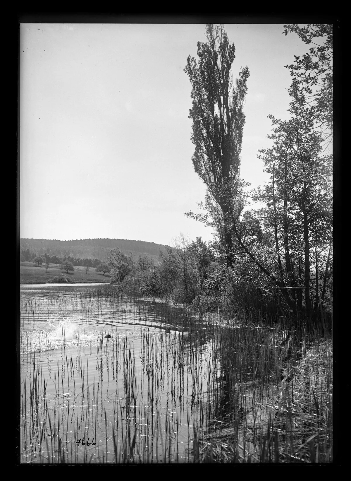 Photo of Küsnacht / Dorf