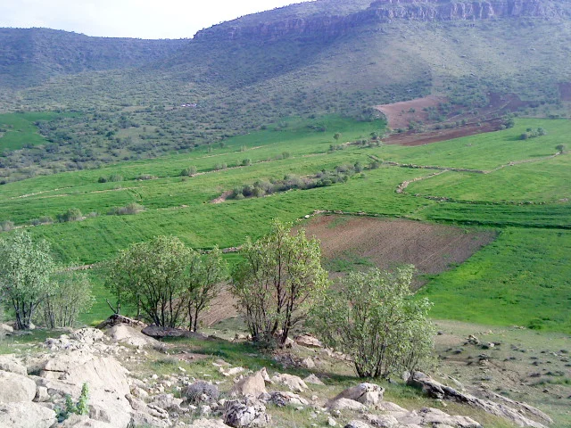 Photo of Kūhdasht