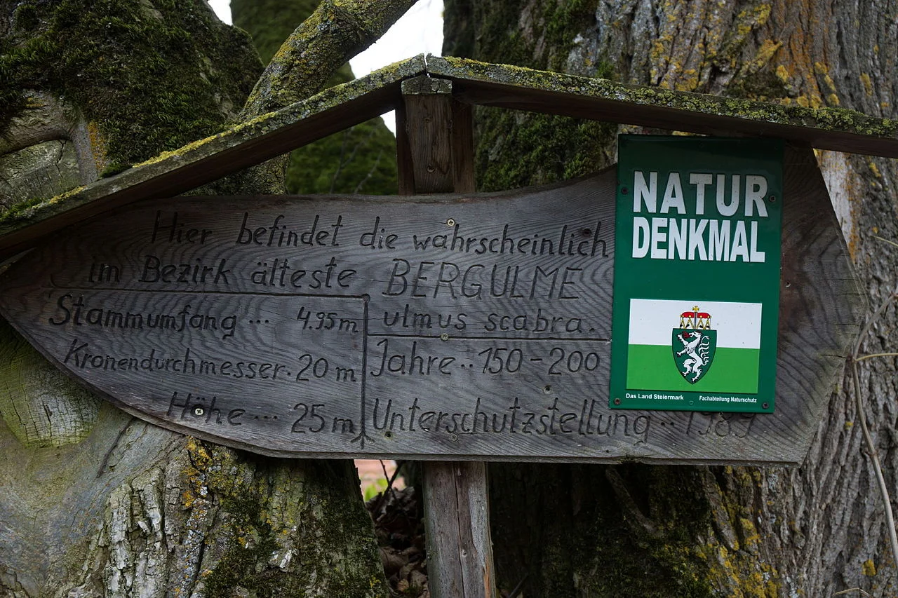 Photo of Kulm am Zirbitz