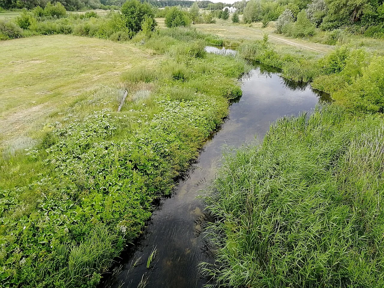 Photo of Kumylzhenskaya